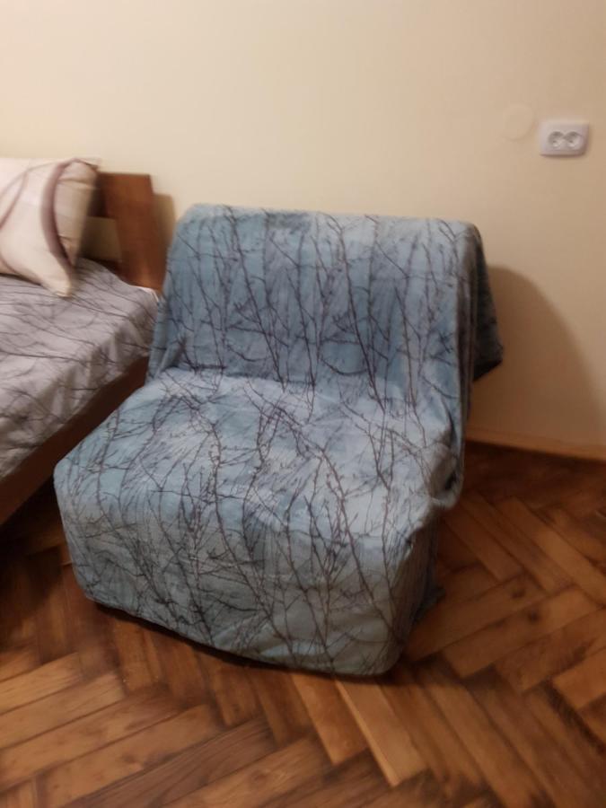 Зручна І Комфортна Квартира Недалеко Від Вокзалу І Центру Міста Lviv Eksteriør bilde